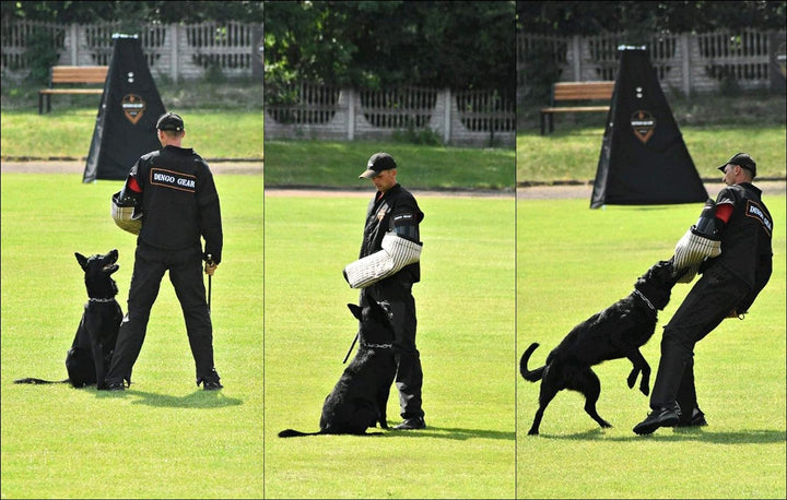 Dingo Gear Schutzarm Profilierte Helfer für einen Hund Training Reifer Hund IGP Recht Hard Keil S005