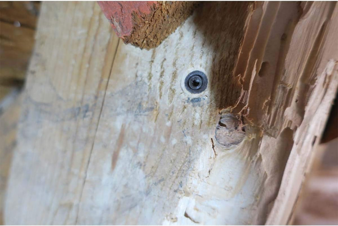 DALEP, 500 Stück Holzeinspritzdüsen Ø 9,5 mm – 609500, ohne Kopf, Hammer, für wasserabweisendes Holz