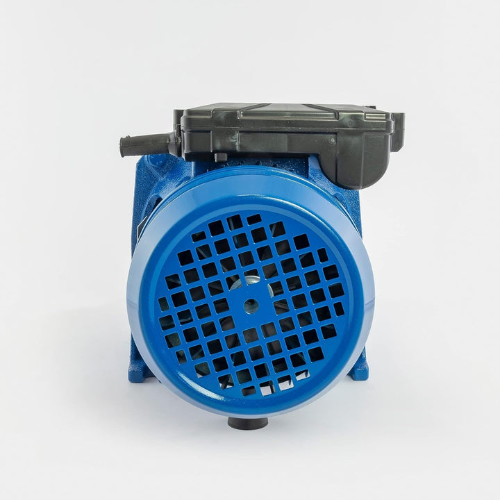 Speroni® Selbstansaugende Elektropumpe CAM 100 V.230 Hz.50