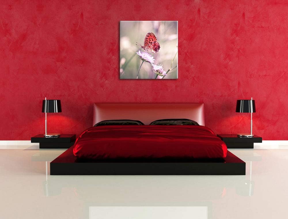 Bezaubernder Schmetterling, Format: 70x70 auf Leinwand, XXL riesige Bilder fertig gerahmt mit Keilra