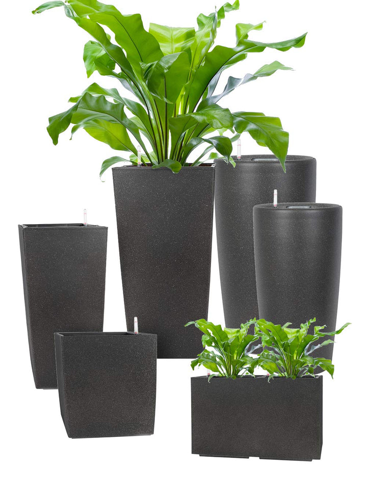 Pflanzwerk® ÖKOSYSTEM Pflanzkübel Square - Blumentöpfe Übertöpfe mit BEWÄSSERUNGSSYSTEM - 19x10x10cm