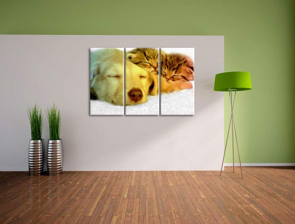 niedlicher Welpe kuschelt mit süssen Kätzchen schwarz/weiss 3-Teiler Leinwandbild 120x80 Bild auf Le