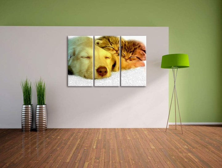 niedlicher Welpe kuschelt mit süssen Kätzchen schwarz/weiss 3-Teiler Leinwandbild 120x80 Bild auf Le