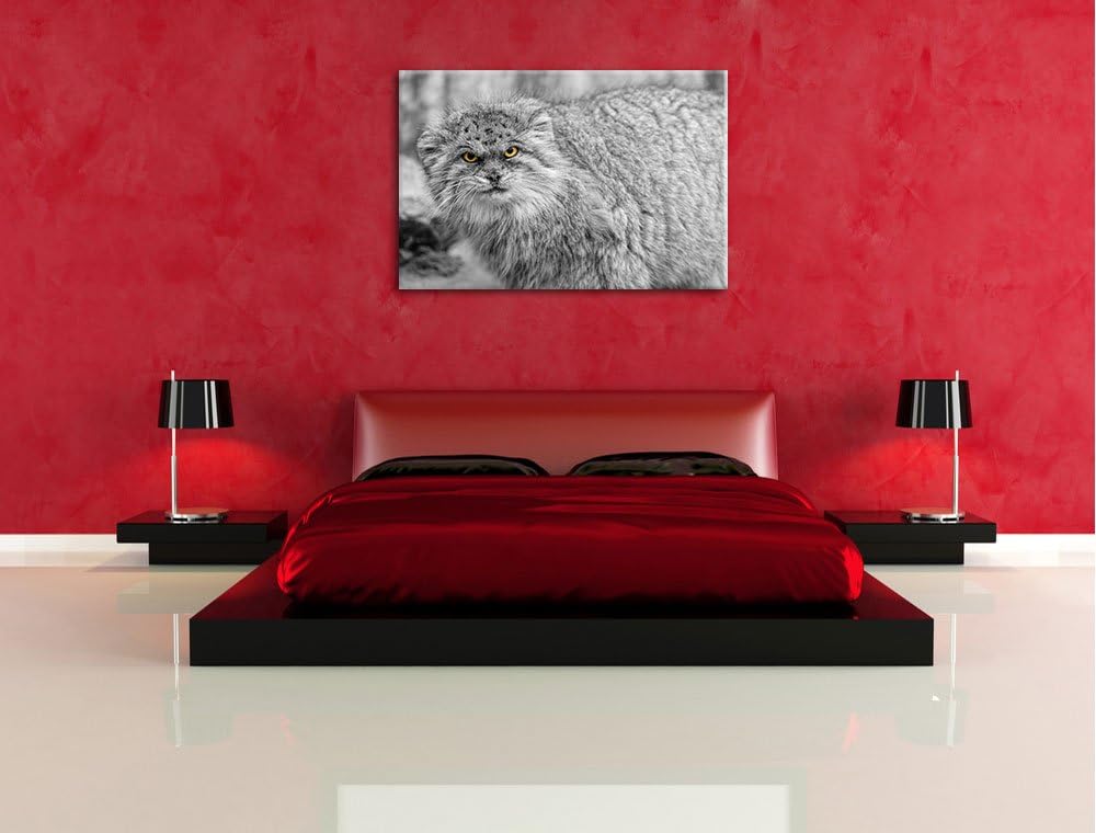 wütende kleine Manul schwarz/weiss auf Leinwand, XXL riesige Bilder fertig gerahmt mit Keilrahmen, K