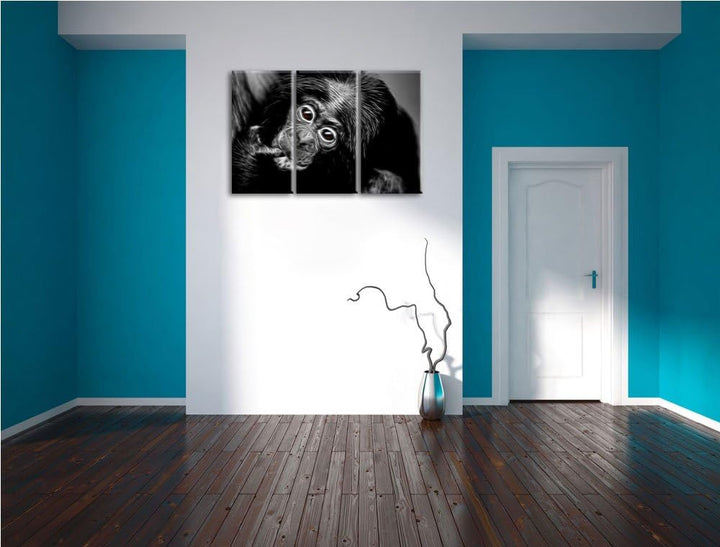 Dark süsses Orang-Utan-Junges schwarz/weiss Deluxe 3-Teiler Leinwandbild 120x80 Bild auf Leinwand, X