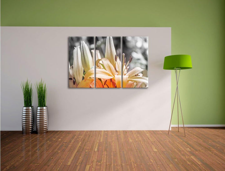 Pixxprint schöne orangene Lilien B&W Detail 3-Teiler Leinwandbild 120x80 Bild auf Leinwand