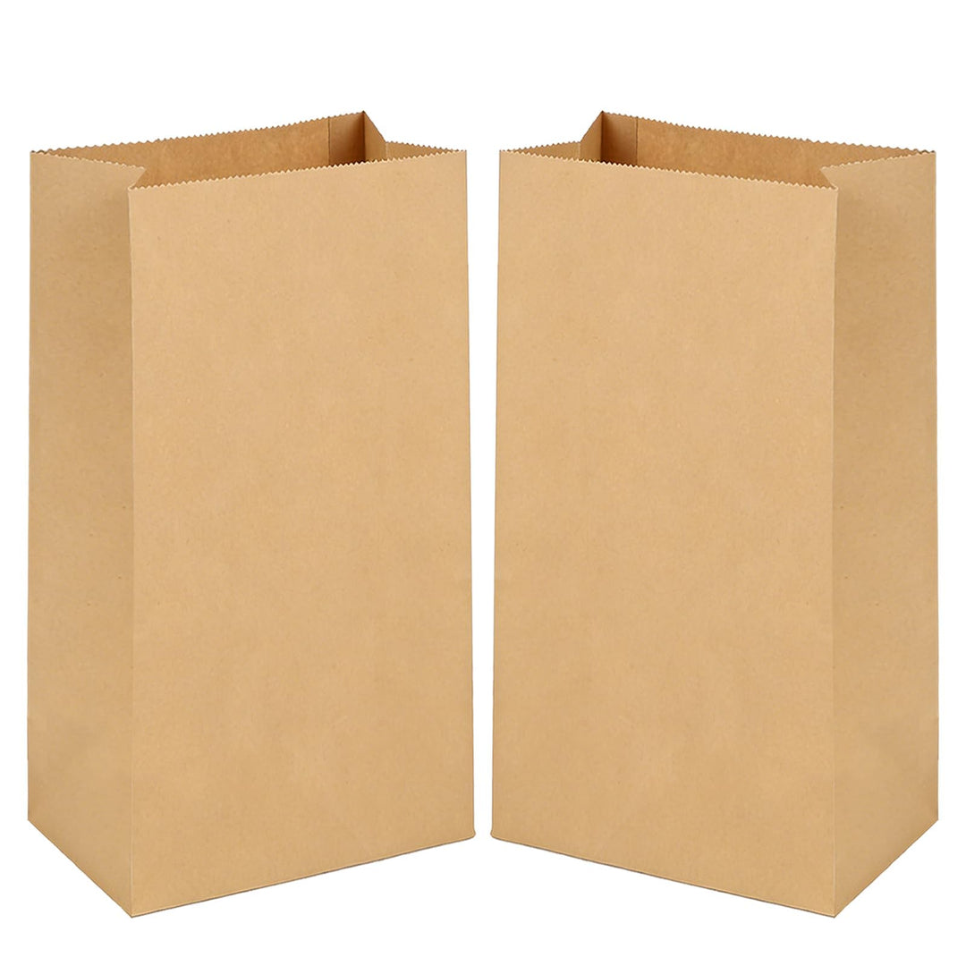 Gaoyong 100 Stück Papiertüten Braun, Geschenktüten Partytüten aus Papier Kraftpapiertüten für Geburt
