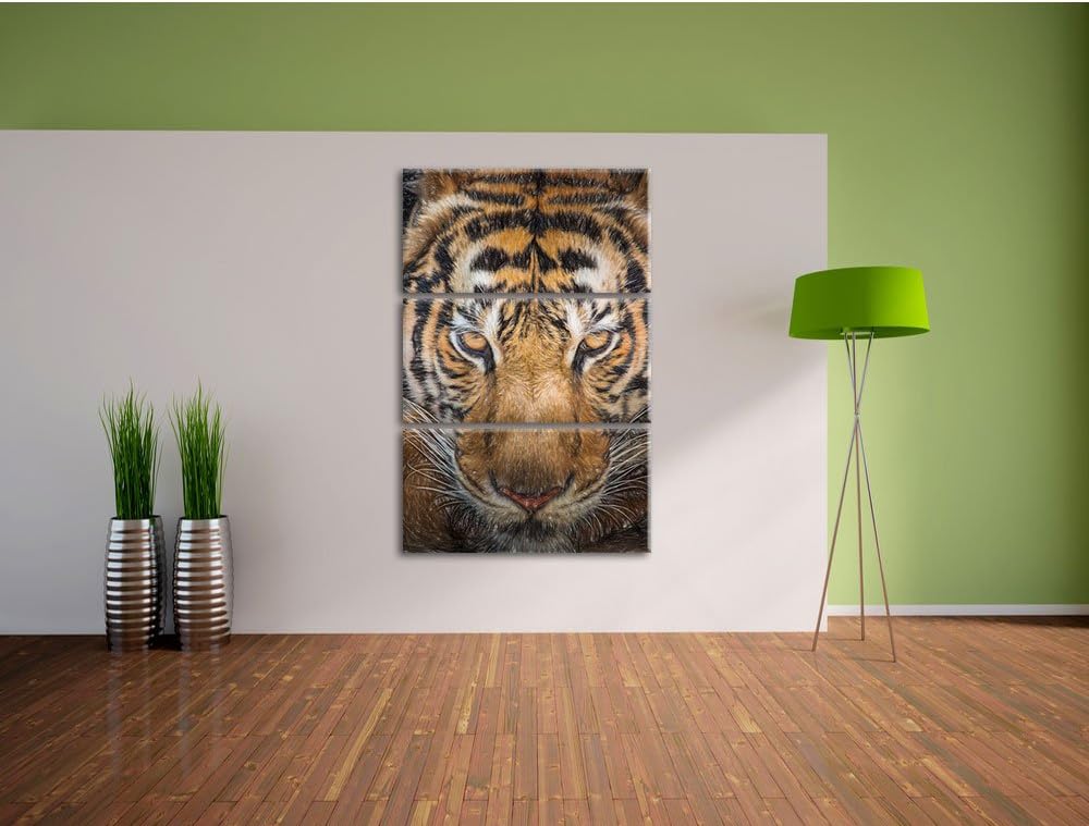 Pixxprint Tiger mit hellbraunen Augen / 3-Teilig/Gesamtmass 120cm Leinwandbild bespannt auf Holzrahm