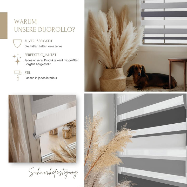 Home-Vision® DuoRollo Klemmfix, Doppelrollo ohne Bohren mit Klämmträgern, Rollos für Fenster und Tür