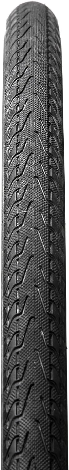 panaracer PASELA protite zusammenklappbar Tire 26"x 1.75/1.75, 26"x 1.75/1.75