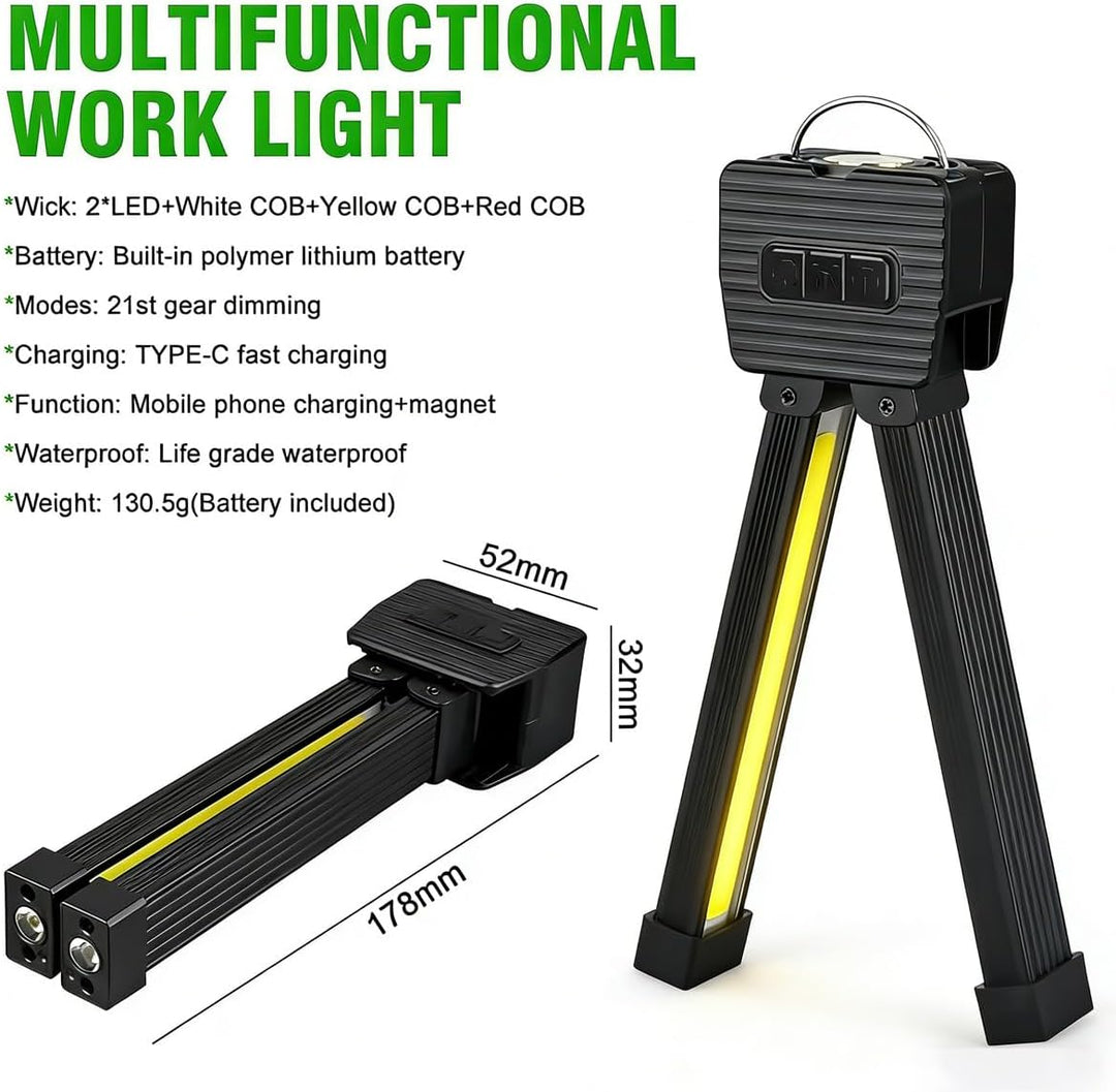 BigKing Posing Lampe Magnet, Magnetic Gym Lamp mit USB-Ladung, 4 Lichtmodi, Wasserdicht & Dimmer für