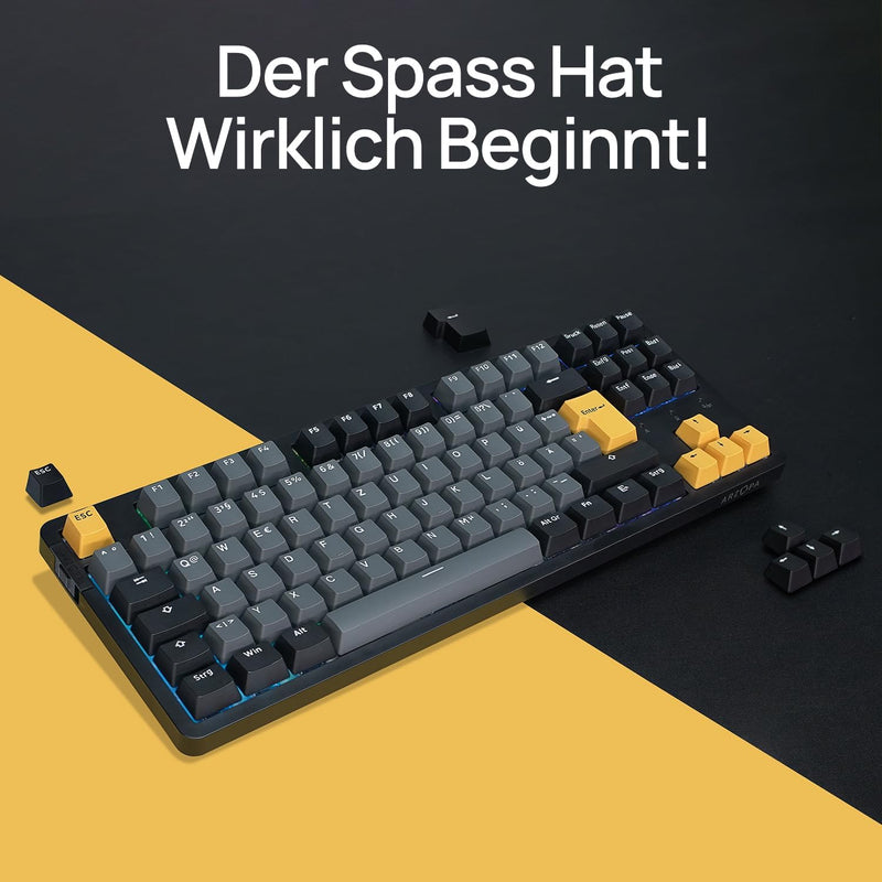 ARZOPA Gaming Tastatur, Gasket Mechanische Tastatur Kabellos/Kabelgebunden/Bluetooth - 87 Tasten RGB