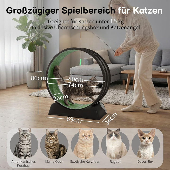 LEADZM Katzenlaufrad 80cm Durchmesser - Laufrad Katze aus Kunststoff, Inklusive Teppich und Katzensp