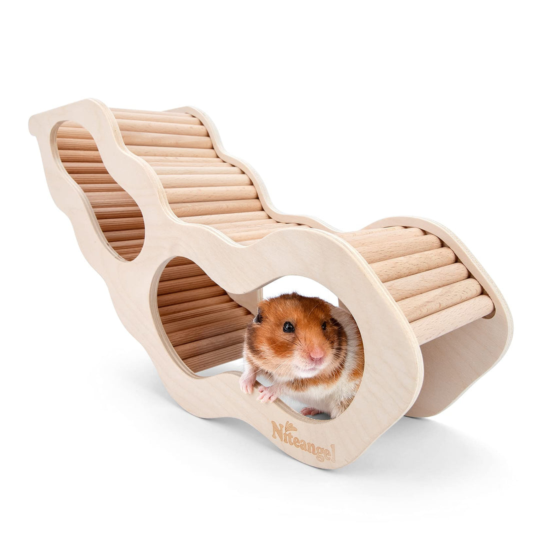 Niteangel Hamsterhaus mit Kletterleiter für Hamster, Rennmäuse, Mäuse oder ähnlich grosse Haustiere