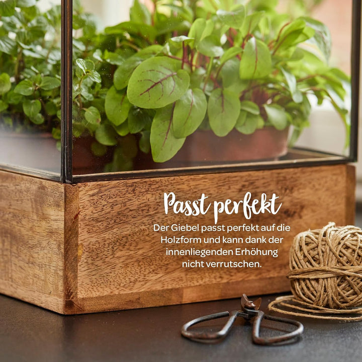 Modernes Gewächshaus als Deko, für Anzucht &amp; für Kräuter | Aus Glas, recyceltem Holz und Metall | Zi