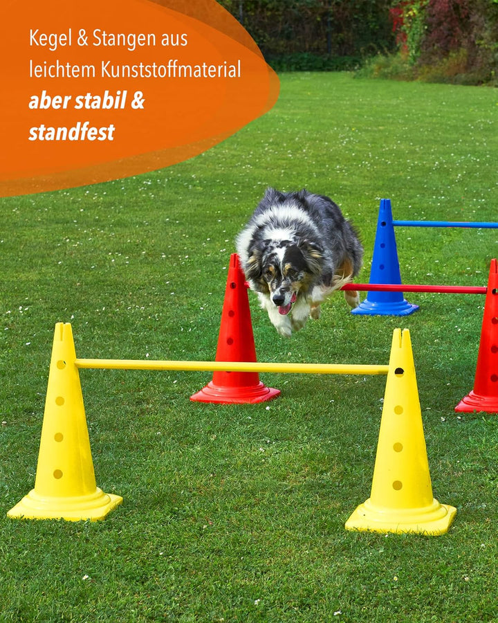 Kegel-Hürde 50 mit 100cm Stangen – 3er-Set – Gelb/Rot/Blau – Steckhürden für Agility Teamsport – Fle
