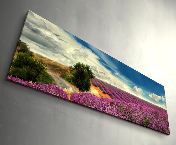 Paul Sinus Art Leinwandbilder | Bilder Leinwand 150x50cm Lavendel Felder bei blauem Himmel, 150x50cm