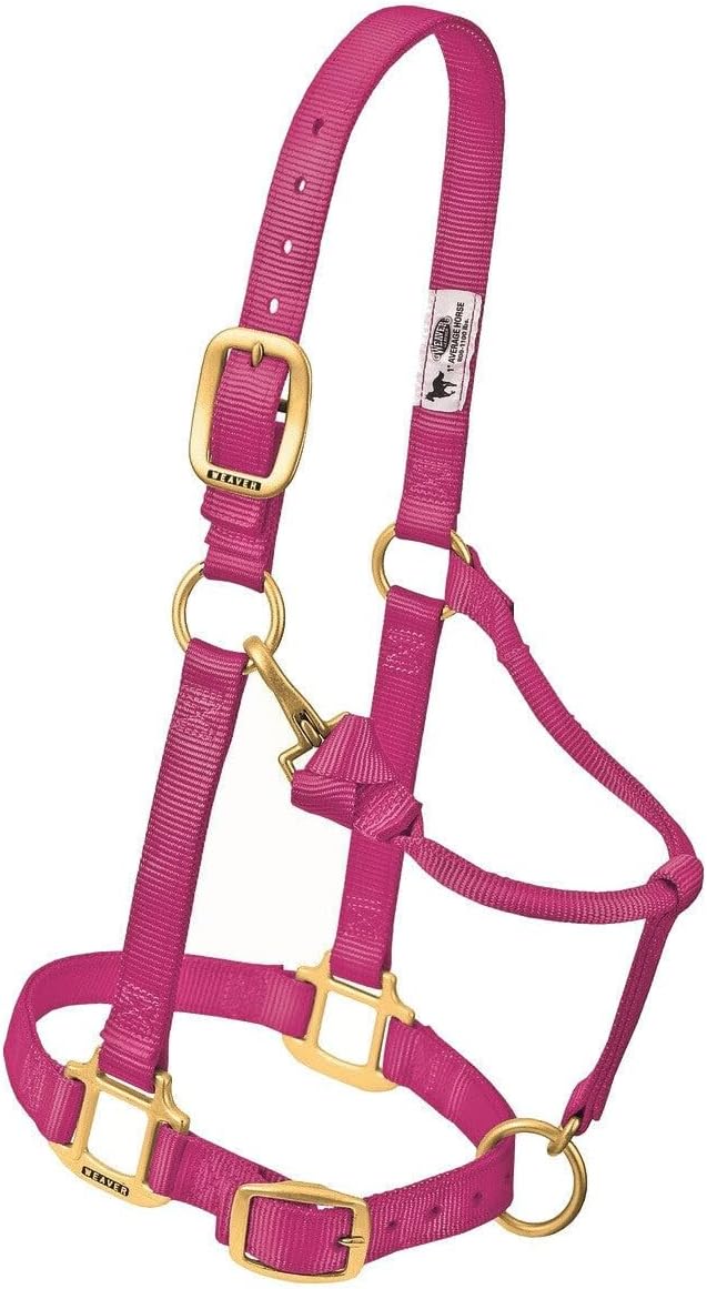 Weaver Leather Original verstellbares Nylonhalfter für Pferde L Horse Hurricane blau, L Horse Hurric
