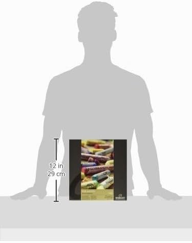 Rembrandt soft pastel 120 color set (japan import)