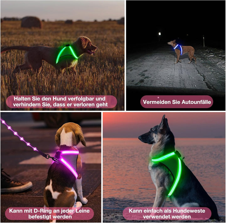 ChalkLit LED Leuchtendes Hundegeschirr USB Wiederaufladbares Vollständig Beleuchtetes Hundegeschirr