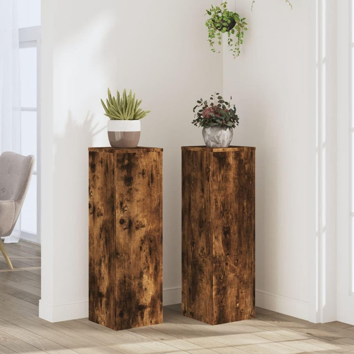 vidaXL Pflanzenständer 2 STK., Blumenständer Hohle Konstruktion, Dekosäule Podest für Pflanzen Dekoa