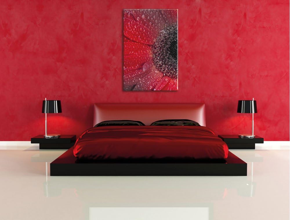 Pixxprint Rote Gerbera mit Wassertropfen als Leinwandbild/Grösse: 120x80 cm/Wandbild/Kunstdruck/fert