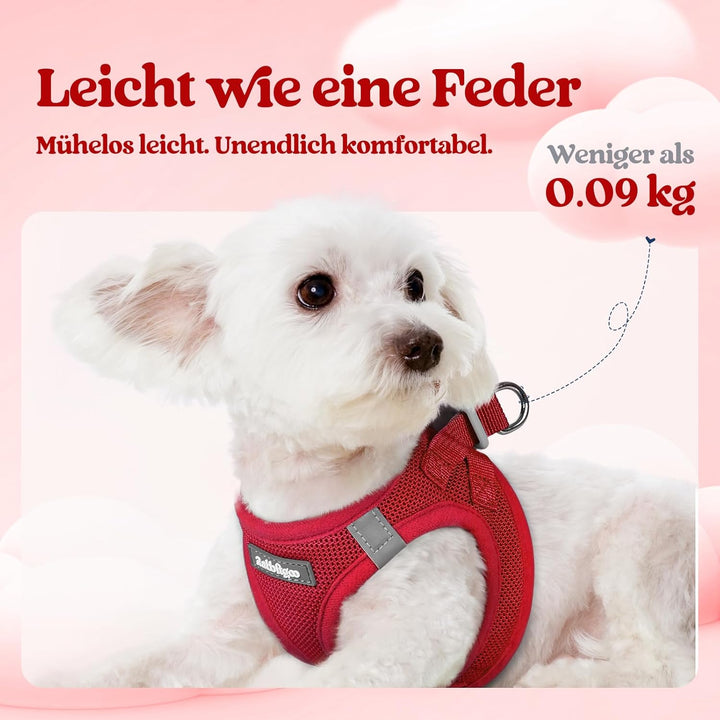 rabbitgoo Hundegeschirr Kleine Hunde mit Leine, Step-in Welpengeschirr Weich Mesh für Spaziergänge,