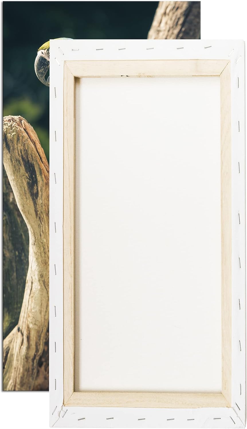 edler Papagei Panorama 100x50 cm als Leinwandbild, Motiv fertig gerahmt auf Echtholzrahmen, Hochwert