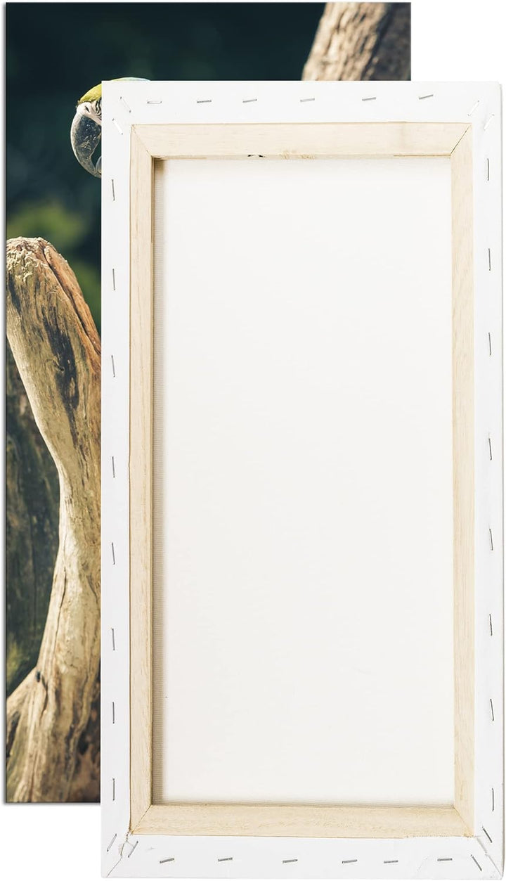 edler Papagei Panorama 100x50 cm als Leinwandbild, Motiv fertig gerahmt auf Echtholzrahmen, Hochwert