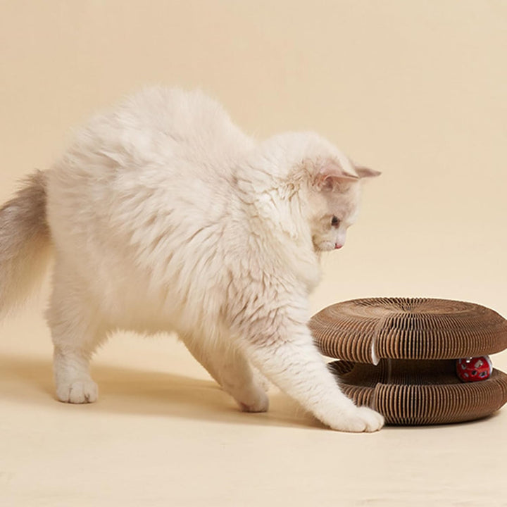 2 Stück Katzenkratzbrett, Magic Organ Cat Scratching Board, 2-in-1 Cat Kratzbrett mit Glöckchen, Int