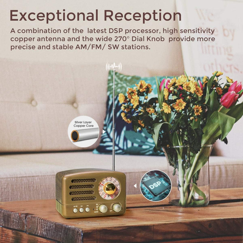 PRUNUS J-160 AM/FM/SW Retro Radio mit Bluetooth, Nostalgie Radio Klein mit 1800mAh Wiederaufladbare