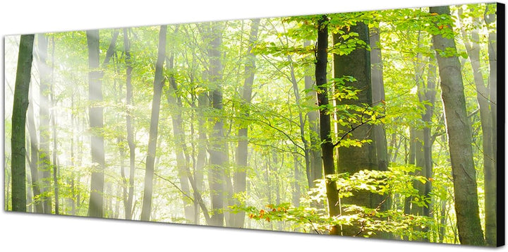 Paul Sinus Art Panoramabild auf Leinwand und Keilrahmen 120x40cm Bäume Wald Sonnenstrahlen Herbst