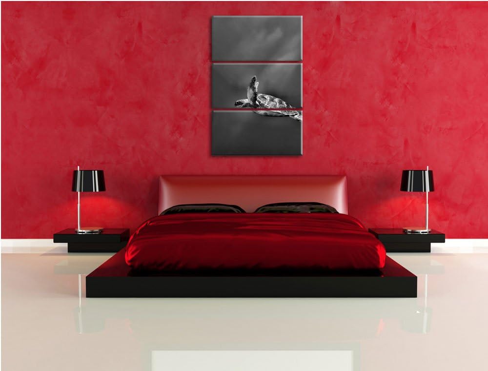 Pixxprint Monocrome, Schildkröte im Meer 3-Teiler Leinwandbild 120x80 Bild auf Leinwand