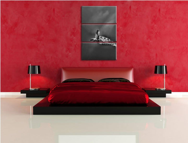 Pixxprint Monocrome, Schildkröte im Meer 3-Teiler Leinwandbild 120x80 Bild auf Leinwand