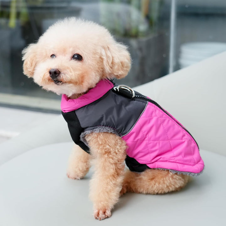 JoyDaog Warme Fleece Hundemäntel für grosse Hunde, D-Ringe wasserdichte Hundejacke für kalten Winter