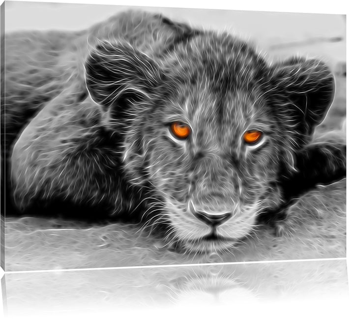 wachsamer junger Löwe schwarz/weiss Deluxe Format: 100x70 cm auf Leinwand, XXL riesige Bilder fertig