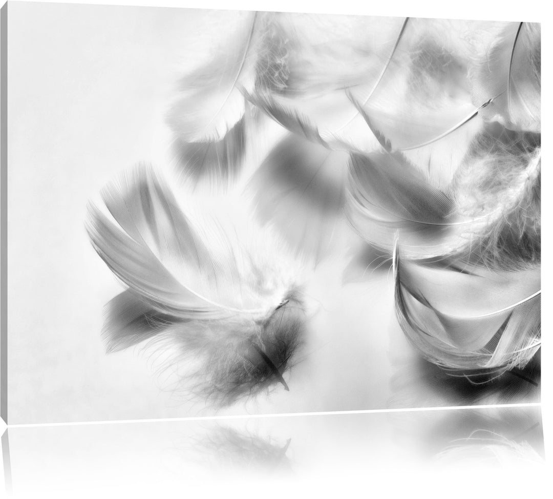 Pixxprint Monocrome, Weisse Feder auf schwarzem Stein, Format: 100x70 auf Leinwand, 100x70