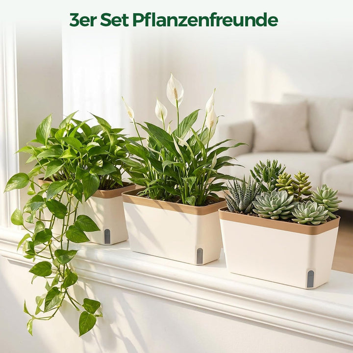 T4U 27cm Selbstwässernder Blumenkasten Kräutertopf mit ERD-Bewässerungs-System Braun 3er-Set Kunstst
