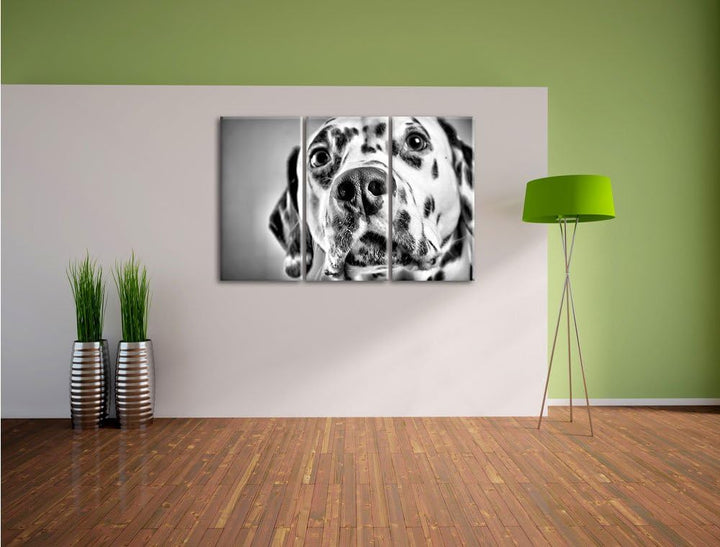 Pixxprint Monocrome, Süsser Dalmatiner 3-Teiler Leinwandbild 120x80 Bild auf Leinwand