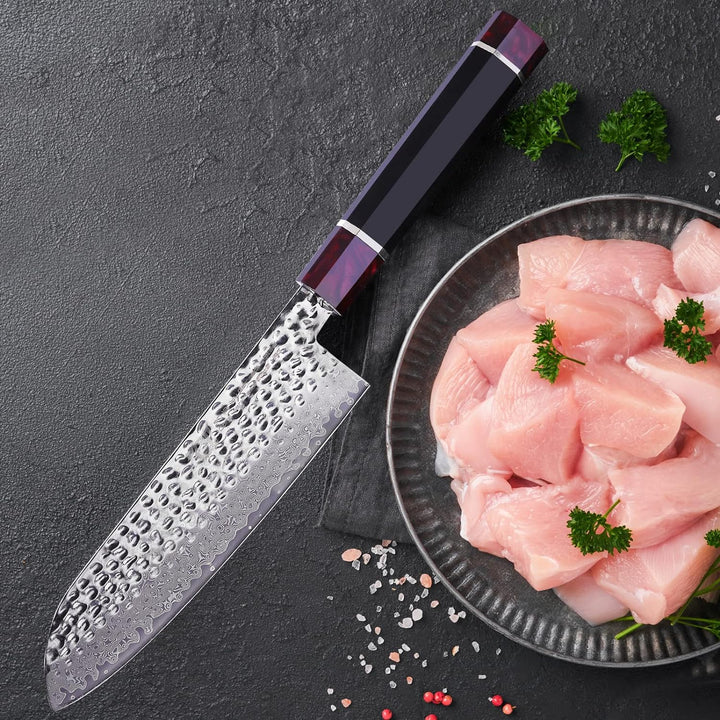 FINDKING Eternity Series Japanisches Santokumesser mit ABS Scheide, Professionelles Küchenmesser, 9C