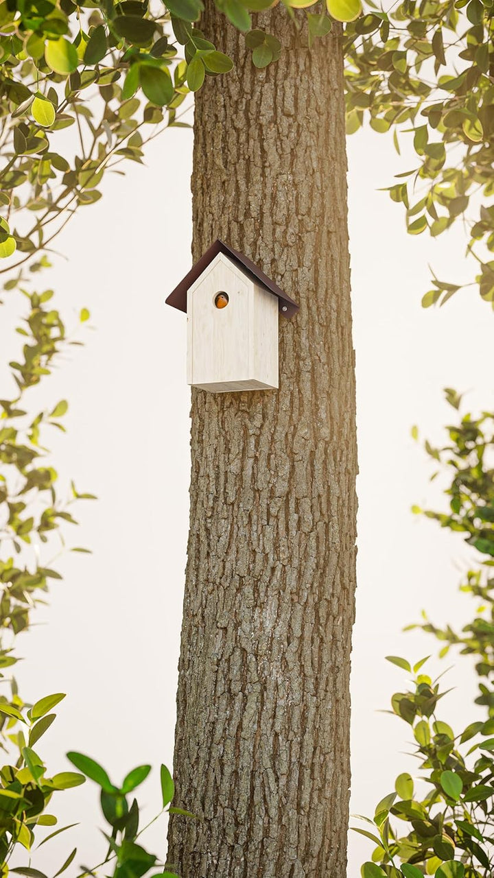 Alberts 355227 Vogelhäuschen Schutzspitzdach | Vogelfutterhaus aus Stahl in verschiedenen Trendfarbe