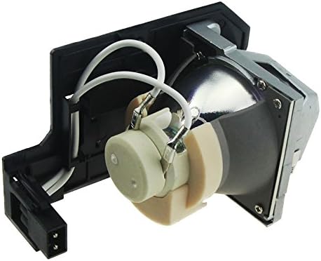 Huaute BL-FP230D Projektor-Ersatzlampe mit Gehäuse für Optoma HD20 HD200X TX612 TX615 EX612 EX615 HD