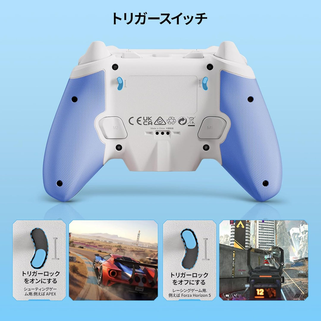 Black Shark PC-Controller, BIGBIG WON Rainbow 2 SE Wireless Controller Motion Control, Hall-Effekt-T