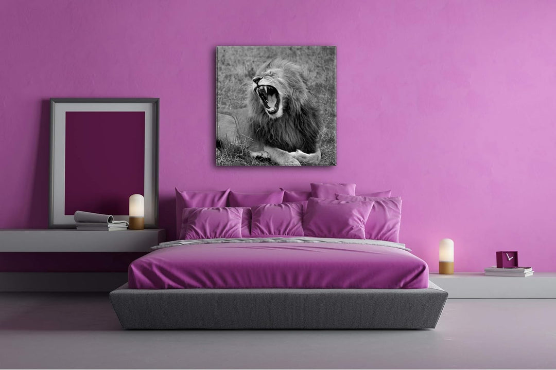 deyoli brüllender Löwe Format: 70x70 Effekt: Schwarz&Weiss als Leinwandbild, Motiv fertig gerahmt au