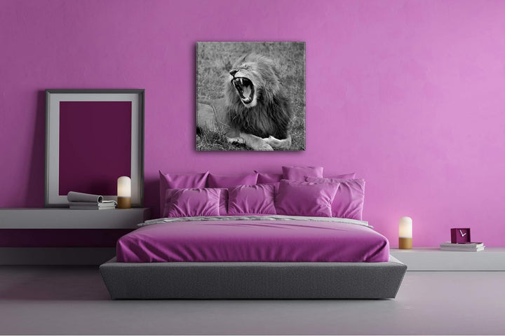 deyoli brüllender Löwe Format: 70x70 Effekt: Schwarz&Weiss als Leinwandbild, Motiv fertig gerahmt au