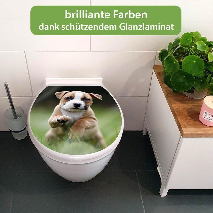 banjado Toilettendeckel mit Absenkautomatik 44,5x37cm - Soft Close Toilettensitz - WC Sitz mit Absen