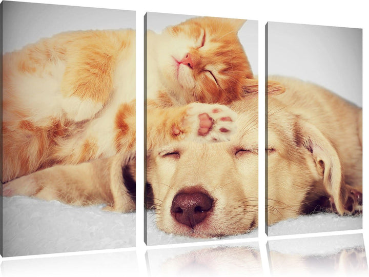 Pixxprint Kätzchen und Welpe schlafen B&W Detail 3-Teiler Leinwandbild 120x80 Bild auf Leinwand