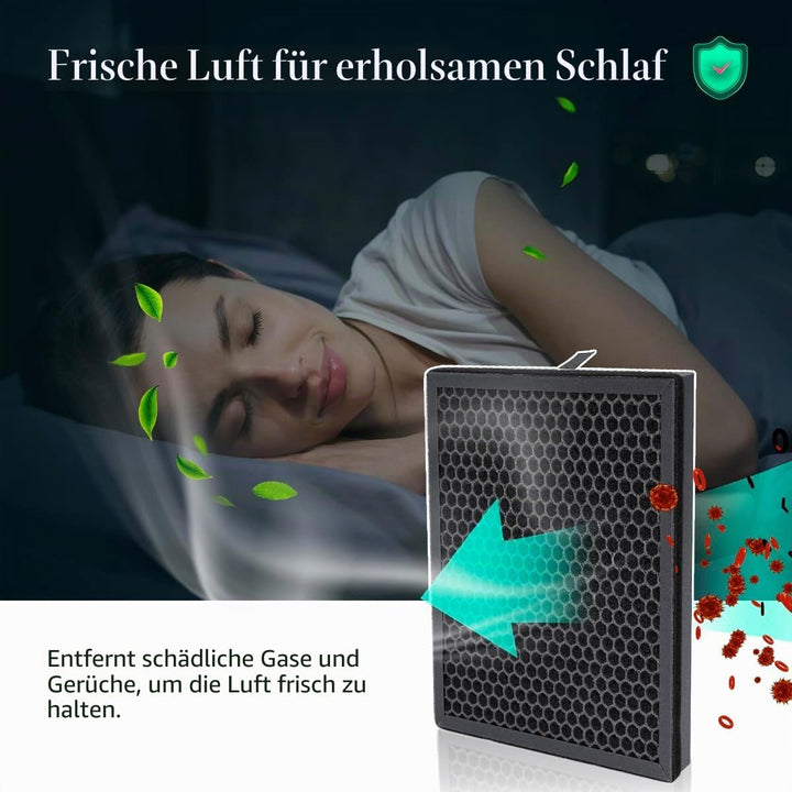 Ersatz-Ersatzteile für MORENTO HY4866 Luftreiniger H13 Ture HEPA-Filter