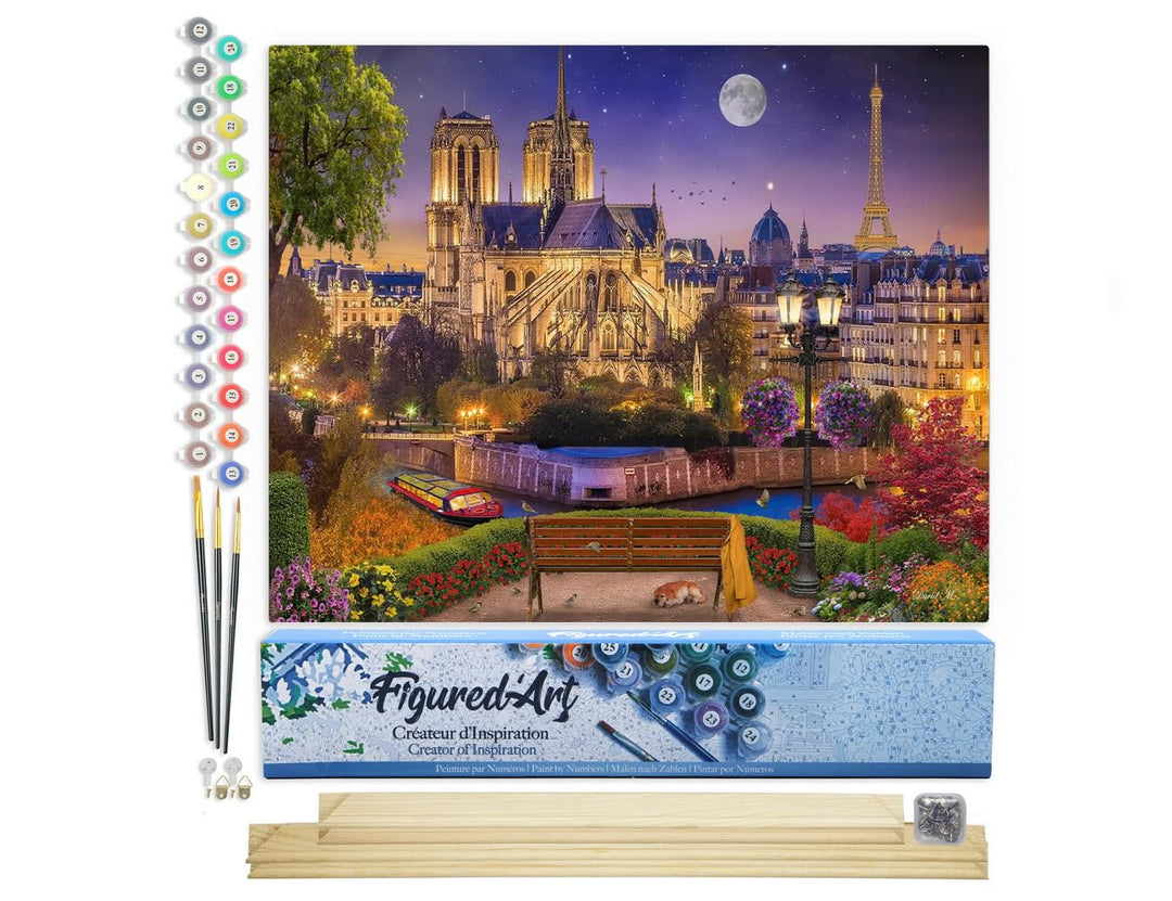 Figured'Art Malen Nach Zahlen Erwachsene Mit Rahmen Notre Dame unter den Sternen - Paint by Numbers
