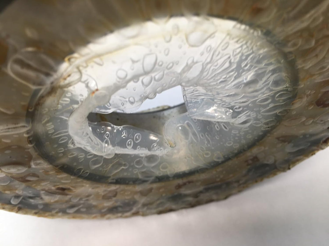 SKF 1313 ETN9/C3 selbstausrichtendes Kugellager